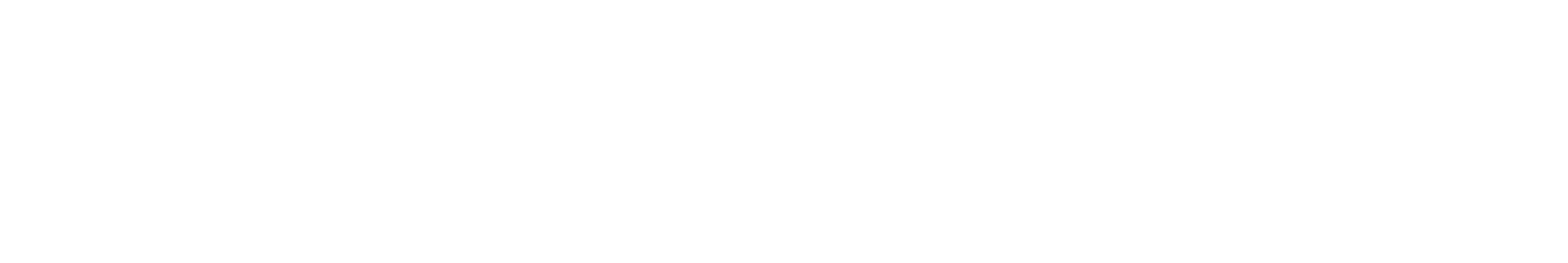 Brooks Running logo