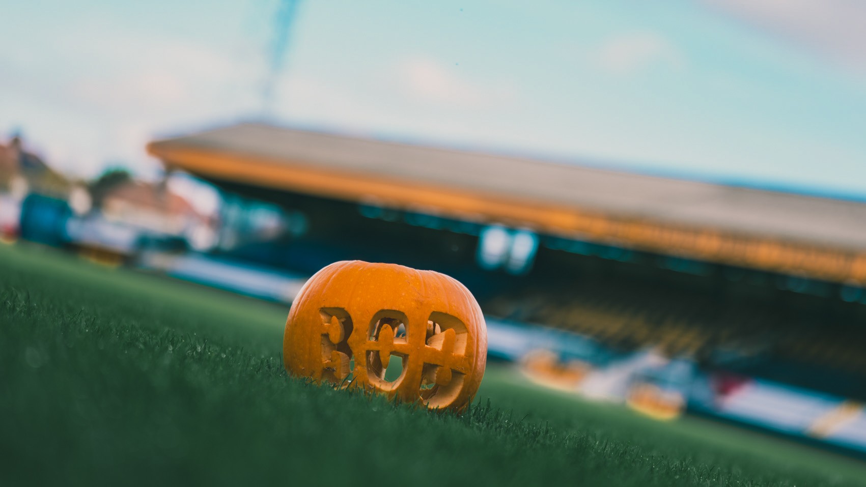 A Pumpkin at the Cledara Abbey Stadium