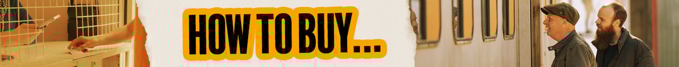How To Buy.jpg