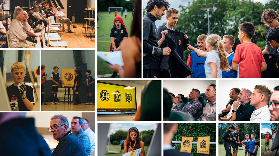 Fan Consultation collage