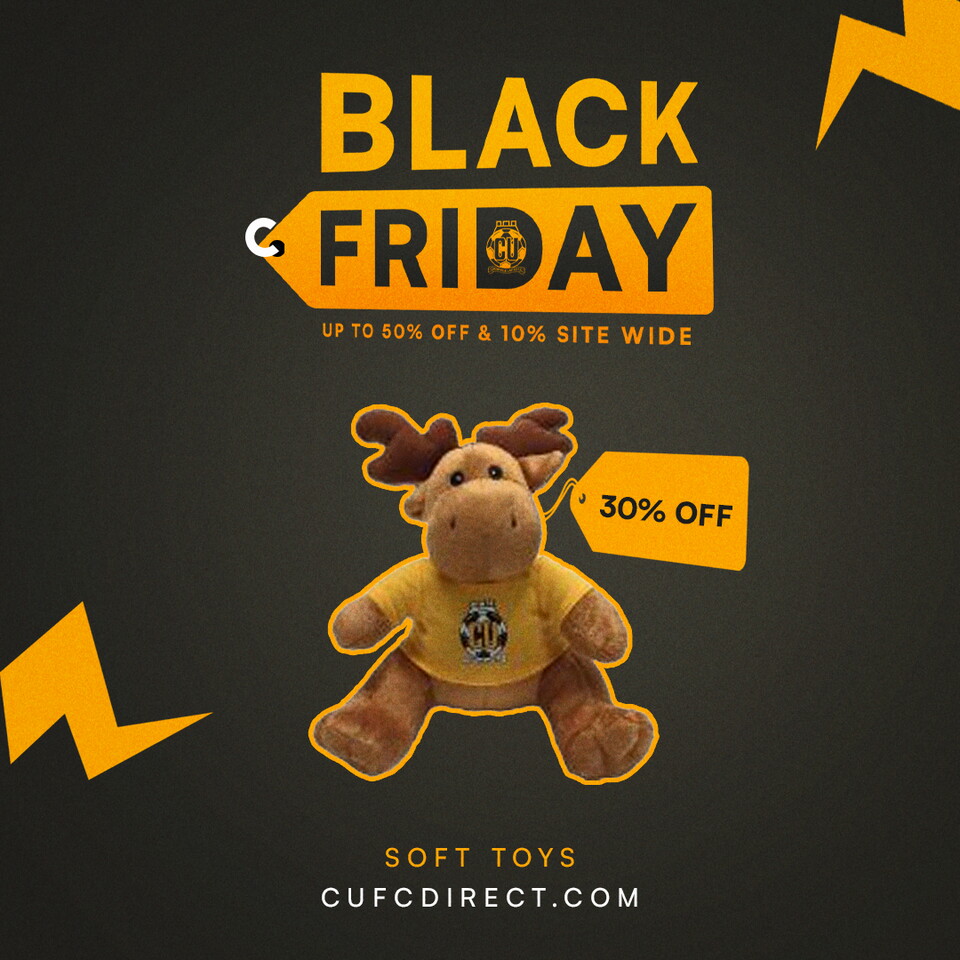 Black Friday promo graphic