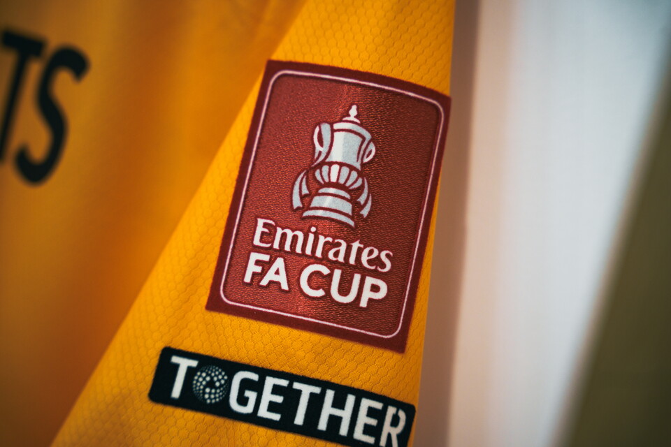 FA Cup sleeve