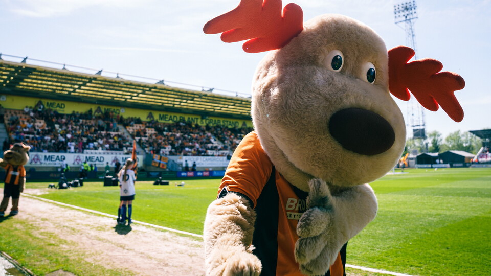 Marvin the Moose