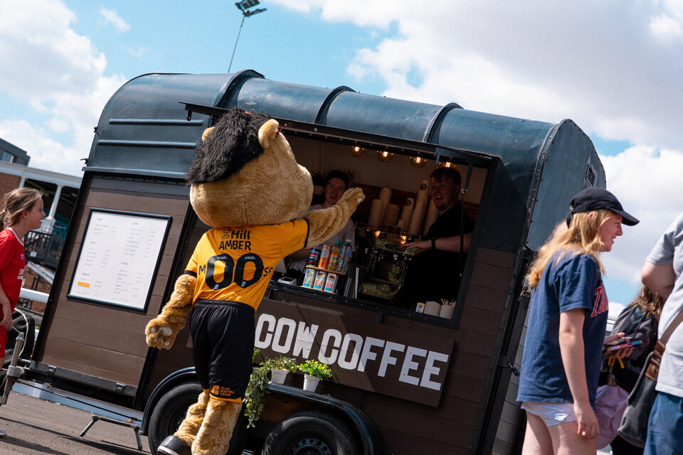 Odd Cow Coffee