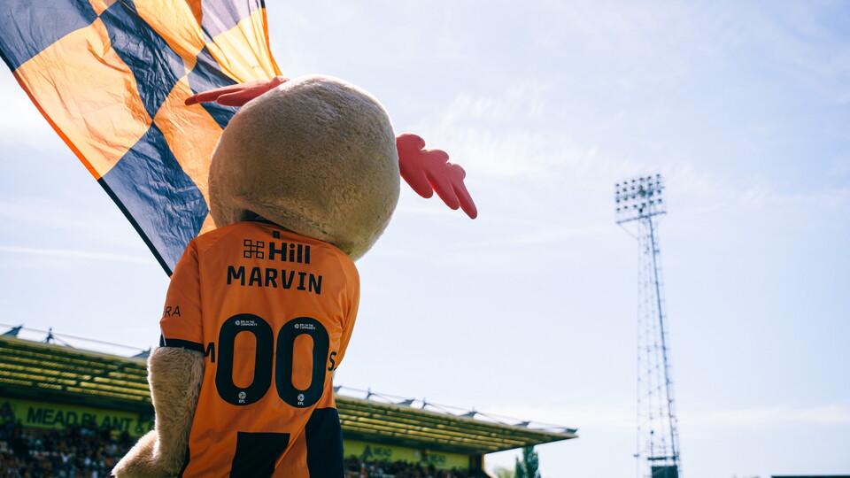 Marvin the Moose
