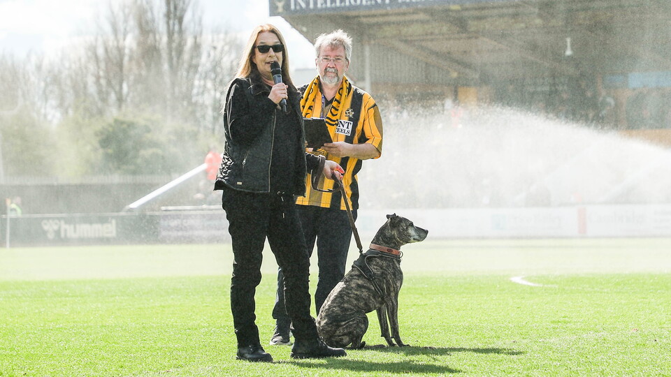 Woodgreen Pets Charity at the Cledara Abbey