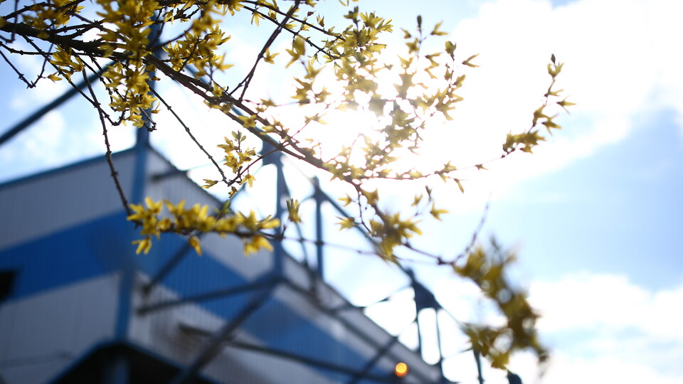 The One Call Stadium