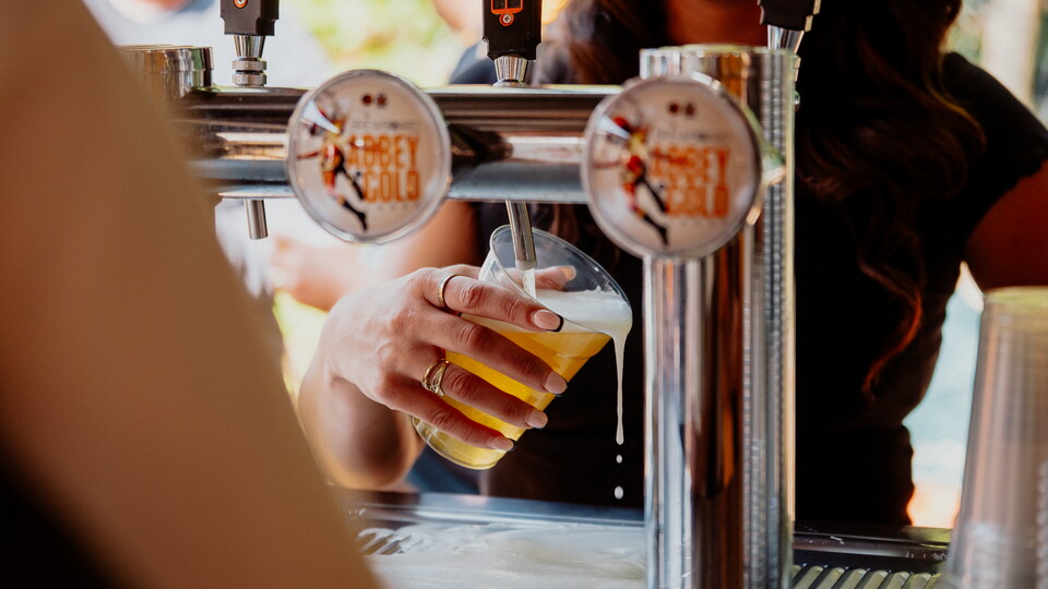 A close up a pint of BrewBoard being poured